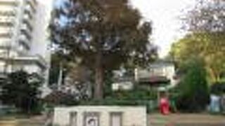 詩の小径を散策しましょうね