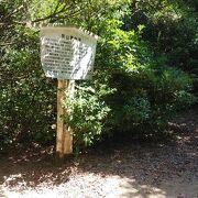 弥山原始林 クチコミ アクセス 営業時間 宮島 厳島神社 フォートラベル 弥山原始林 クチコミ アクセス 営業時間 宮島 厳島神社 フォートラベル