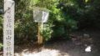 手つかずの自然が残る