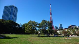 東京タワーをきれいに撮影できる公園です。