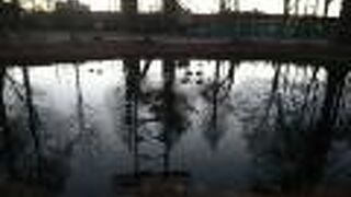 素晴らしい緑溢れる公園