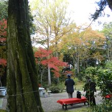 春日荷茶屋庭園