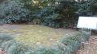 今は敷石のみが残っています。