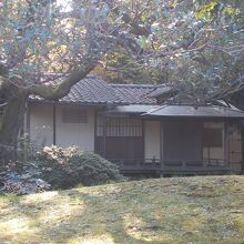 全体の姿です。