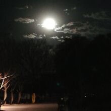満月が綺麗でした