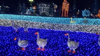 東武動物公園 ウィンターイルミネーション クチコミ アクセス 営業時間 蓮田 白岡 フォートラベル