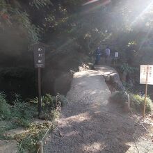 橋の様子です。