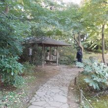 全体の様子です。