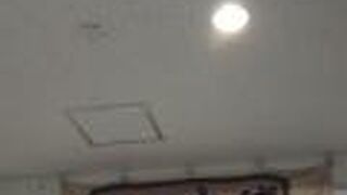 お弁当にシェイク