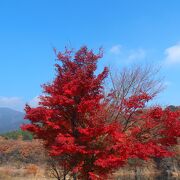 なかなかの絶景