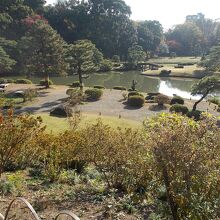 峠からの景観です。