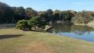 美しい磯を見せています。