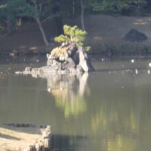 東からの景観です。