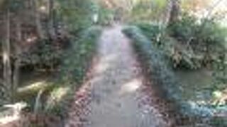 大泉水の中にある大きな島に渡る橋の一つです。