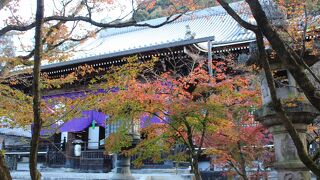 本堂の阿弥陀様と境内の紅葉が見事