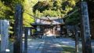 静かな雰囲気の神社