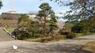 甲府城址を中心とした駅前の貴重な緑地