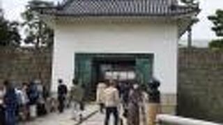 本丸櫓門のお堀にはコイがいっぱい