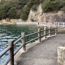 海岸線の遊歩道の様子です。