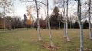 憩いのスポット