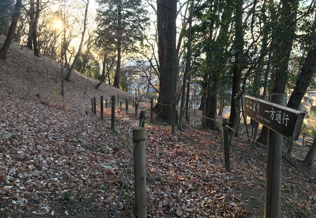 さやま花多来里の郷