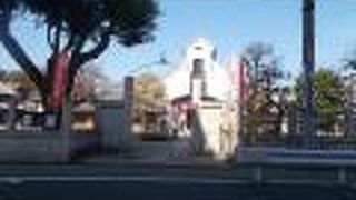 蓬莱梅の木があります。