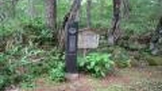 五社巡りで歩きました