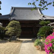 浄土真宗本願寺派の寺院