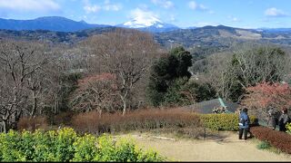 天気がいいと富士山が綺麗に見えます