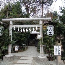 川越熊野神社縁結びの庭