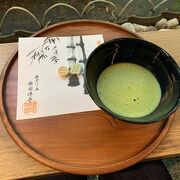 竹林をお抹茶と楽しむ