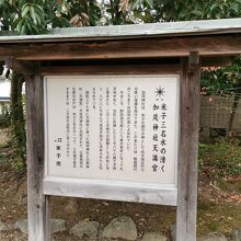 賀茂神社 天満宮 