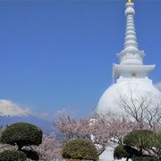 富士山と桜と仏舎利塔がきれいな仏教公園