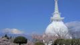 富士山と桜と仏舎利塔がきれいな仏教公園