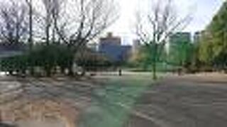 親子で遊ぶ姿を見て昔を思い出す。