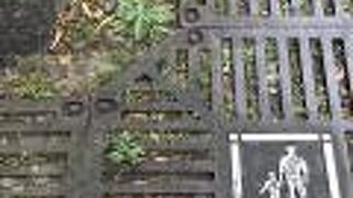 木の根元にご注意