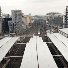 白いソニックが見える