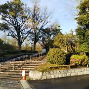 亀戸中央公園