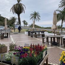 来た方向（北）を見て、