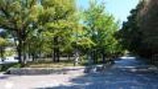 都心部にある広大な公園