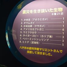 震災を生き延びた生き物たちの説明。