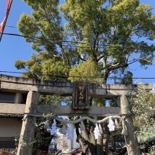 今年も空が綺麗です。