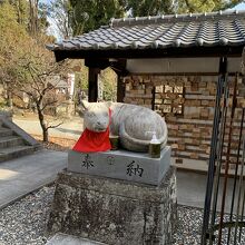 大人気のウシさん