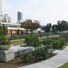 整備されたオアシス的な存在