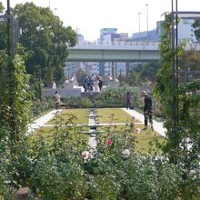 名所・バラ園