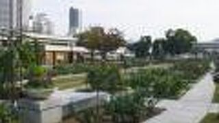 オフイス街は大人のオアシス　～　中之島公園