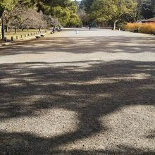 入ってすぐの景色