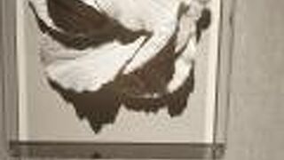 年末年始はそこそこ人が居た。