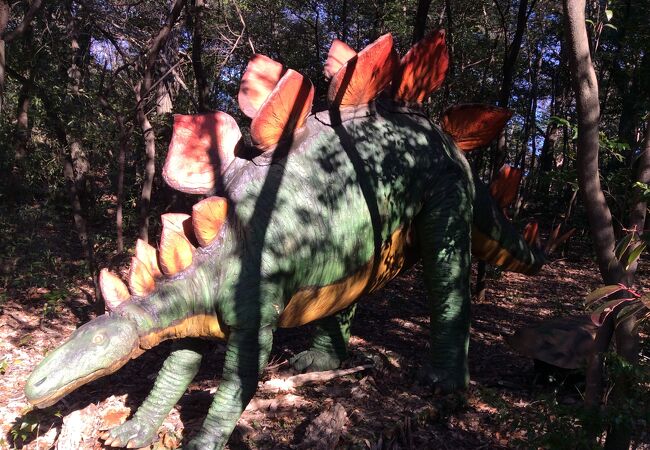 恐竜探検もできる