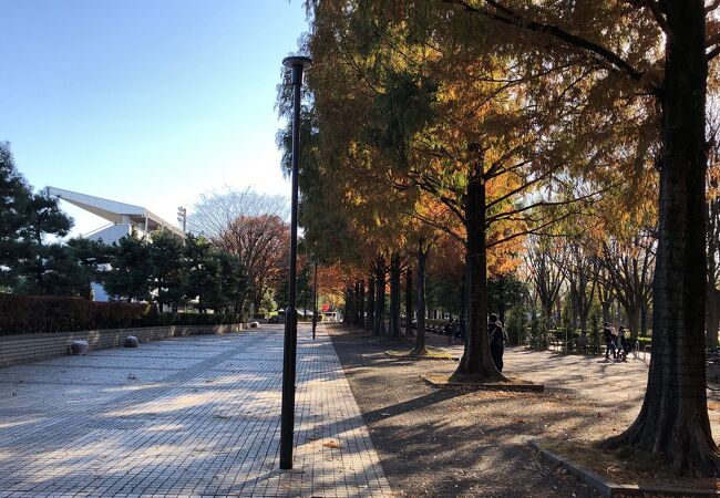 広い公園！